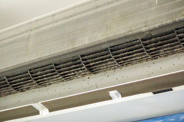 Best Ventilation Cleaning Services  in Hancock, MD